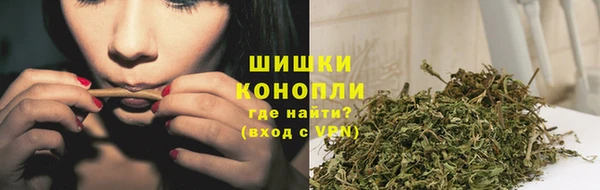 Альфа ПВП Белокуриха