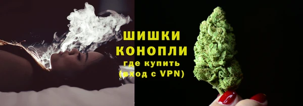 Альфа ПВП Белокуриха