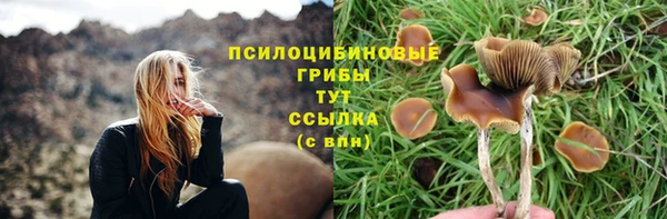 хмурый Беломорск
