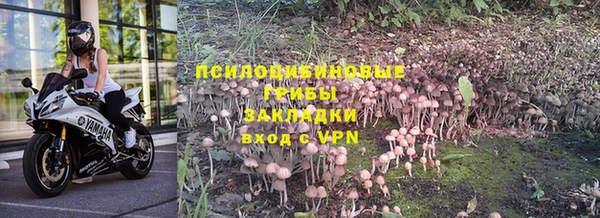 хмурый Беломорск