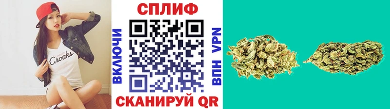 закладка mega tor Бошки Шишки гибрид Буинск